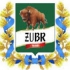 Żubr Team