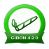 GIBON 4 2 0