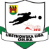 Ursynowska Liga Orlika 2011/2012