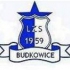 LZS Stare Budkowice