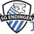 SG Endingen