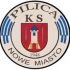 KS Pilica Nowe Miasto nad Pilicą