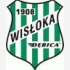 Wisłoka II Dębica