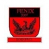 Fenix-Team Borowo