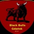 Black Bulls Gdańsk