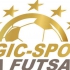 Magic-Sport Liga Futsalu