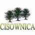 FC Cisownica