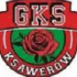GKS Ksawerów 2000