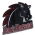 Dark Horses Piaseczno