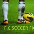 F.C. Soccer Fighters