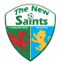 The New Saints F.C.