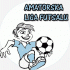 Ciechocińska Amatorska Liga Futsalu