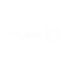 Plan B Esports