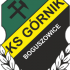 Górnik II Boguszowice