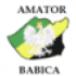 Amator Babica