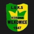 Korona Wilkowice junior