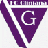 FC Gliniana