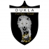 Futsal Dukla Team