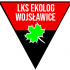 LKS Ekolog Wojsławice