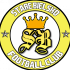 Stare Bielsko FC