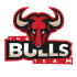The Bulls Team