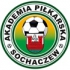 Akademia Piłkarska Sochaczew