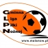 Gminna Liga Piłki Nożnej w Malanowie