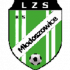 LZS Młodoszowice