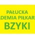 PAP Bzyki Żnin