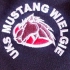 UKS Mustang Wielgie