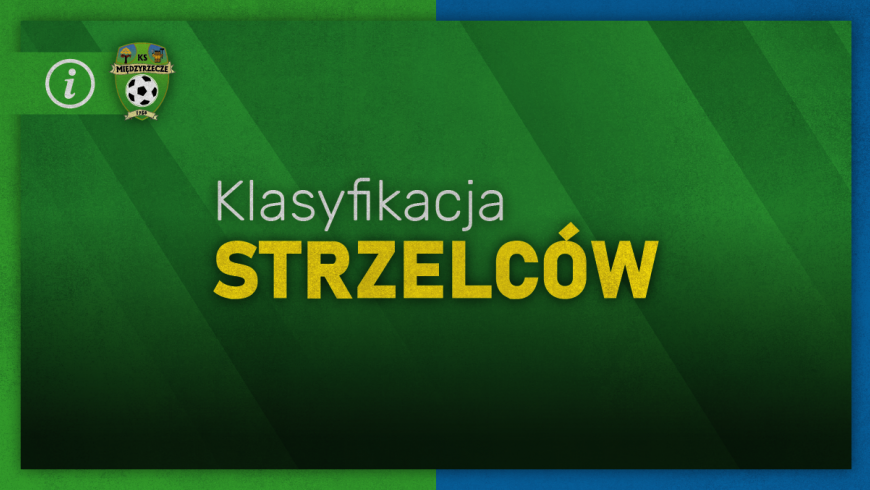 Klasyfikacja Strzelców (po 16. kolejce)