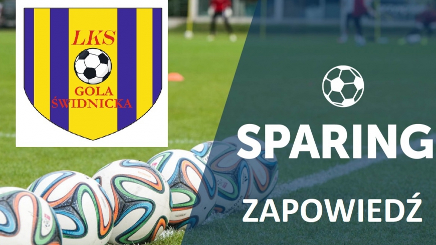 SPARING: LKS PUO Wiśniowa w Żarowie