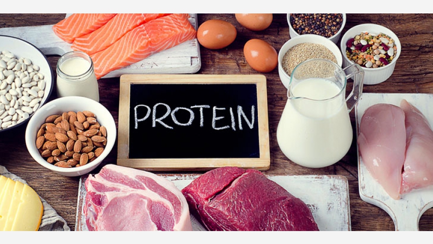 Why You Need Protein In Your Diet