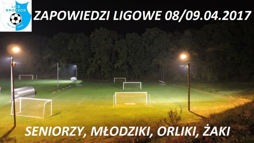 ZAPOWIEDZI 08.04.2017