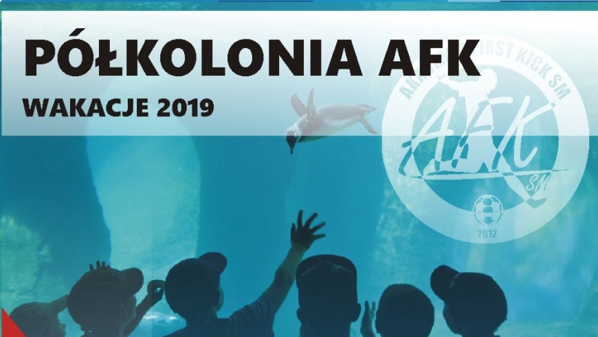 Półkolonie AFK 2019 - zapisy!