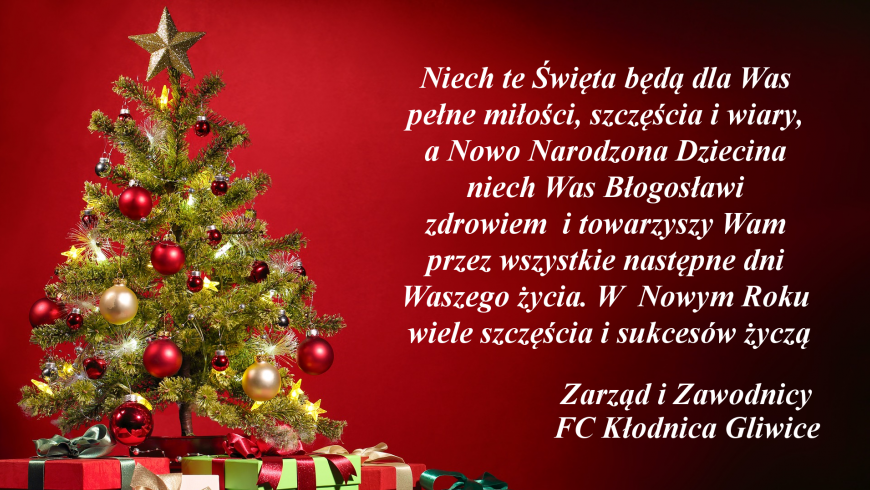 Wesołych Świąt Bożego Narodzenia i Szczęśliwego Nowego Roku!