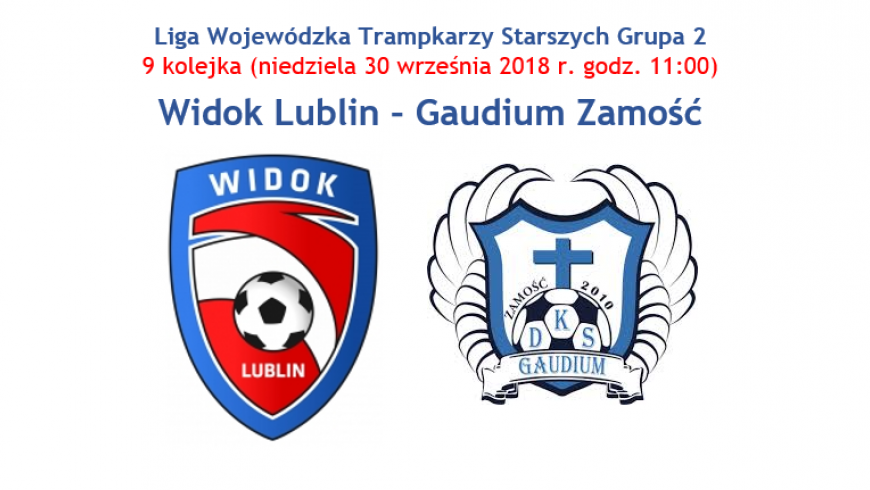 Widok Lublin - Gaudium Zamość (niedziela 30.09 godz. 11:00 Arena Lubin)