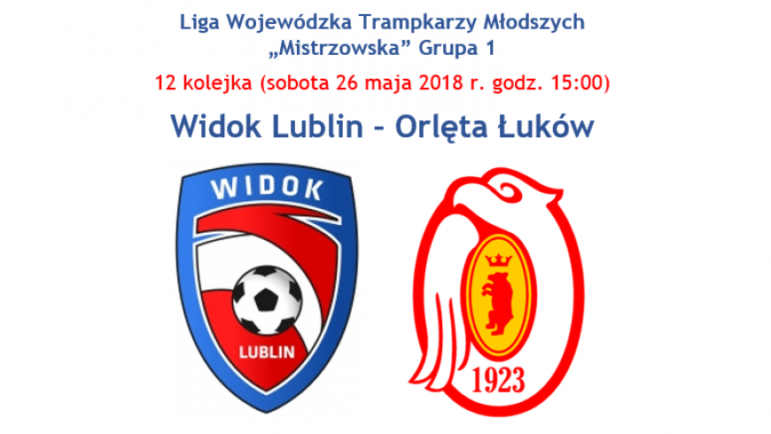 Widok Lublin - Orlęta Łuków (sobota 26.05 godz. 15:00, Arena Lublin)