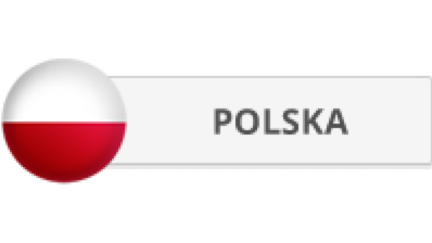 Podsumowanie turnieju 18.04.2015 roku - mecze Polski