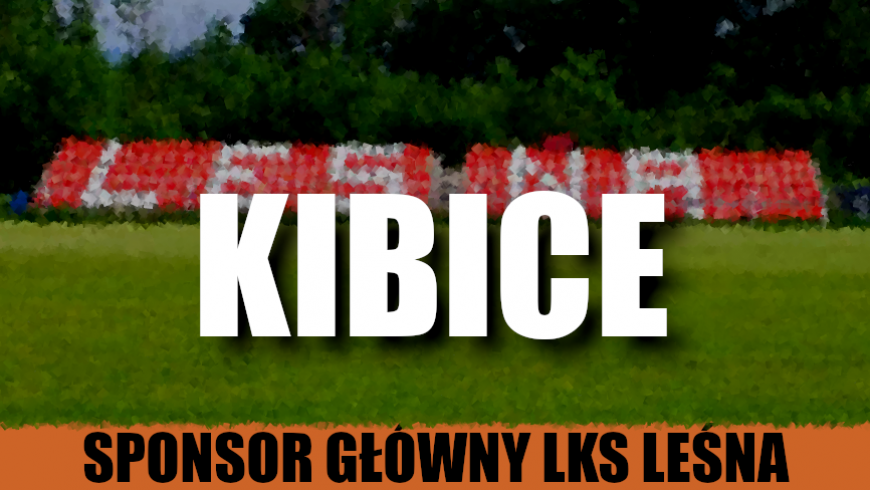 Sponsor - Kibice: 1,5% podatku, datki podczas meczów