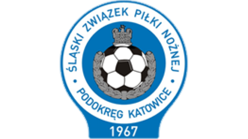 Pogoń Ruda Śląska rocznik 2005 zagra w 3 LIGA WOJEWÓDZKA MŁODZIKÓW MŁODSZYCH `2005(D2) grupa katowice-sosnowiec jesień