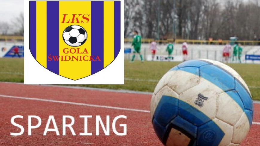 Sparing: LKS Wiśniowa - LKS Gola 2:10