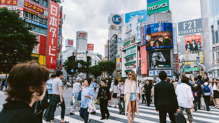 日本的栽培管理技術與特點