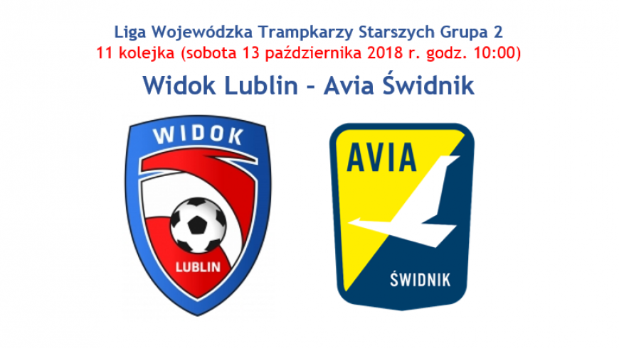 Widok Lublin - Avia Świdnik (sobota 13.10 godz. 10:00 Arena Lubin)