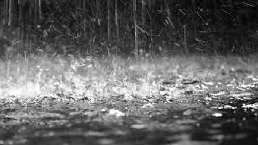 Uwaga Żaki-w przypadku deszczu zajęcia odwołane