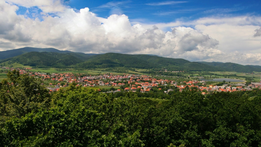 Słowik Camp 2015 - Bielawa.