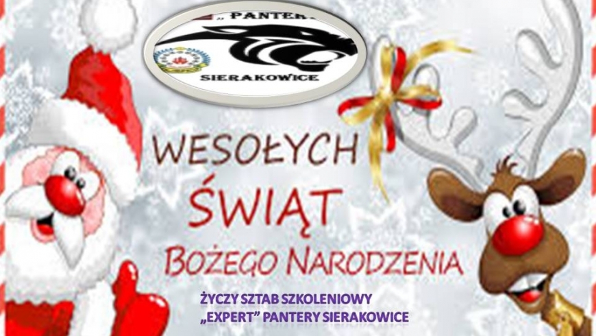 PRZERWA ŚWIĄTECZNO-NOWOROCZNA