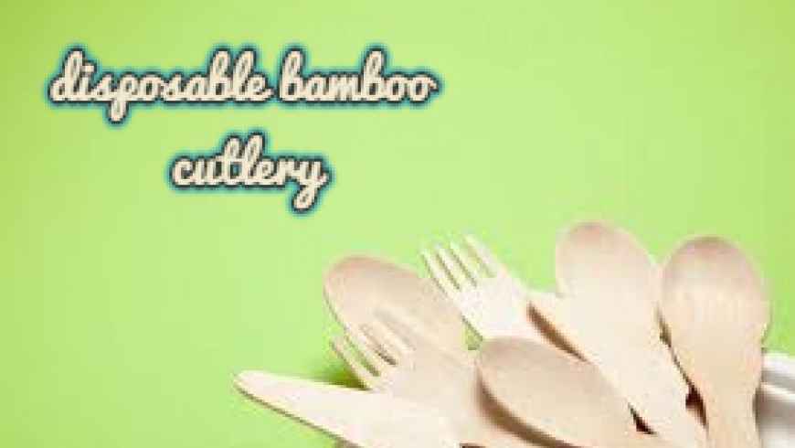 These are generally the reasons to select disposable tableware. Would you choose?