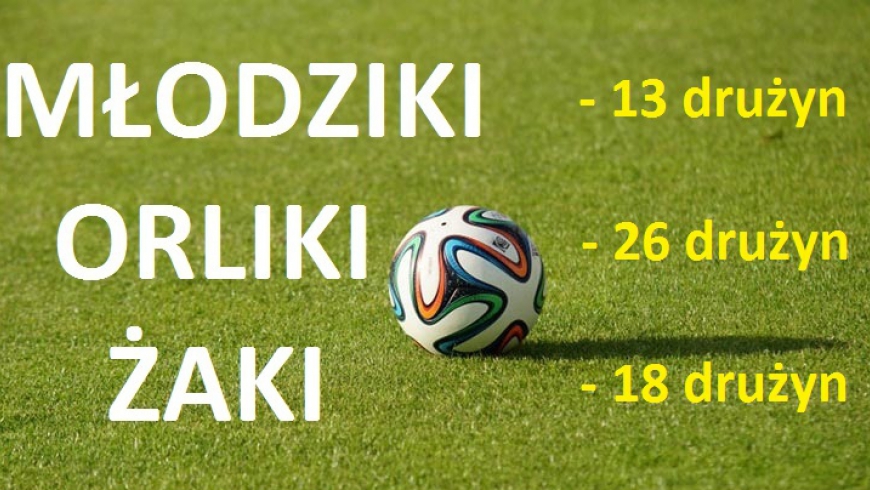 MŁODZIKI, ORLIKI, ŻAKI  - SEZON 2015/2016