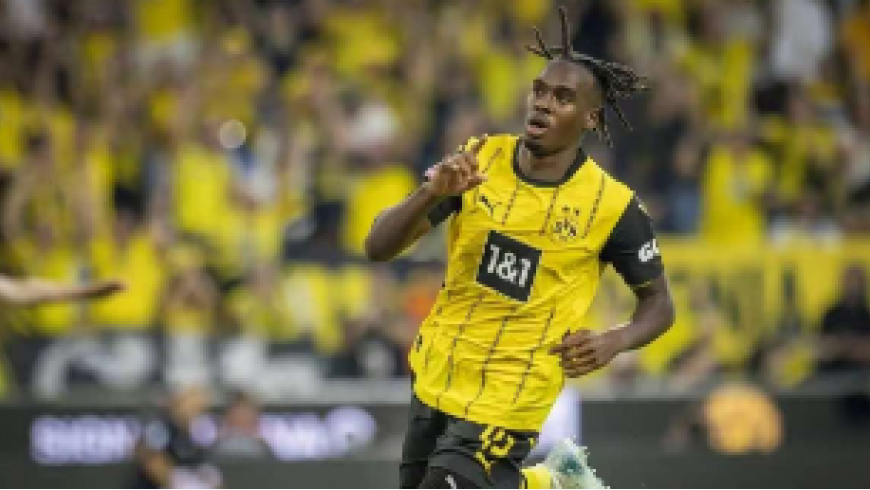 Le jeune cheval noir de Dortmund - Gittens